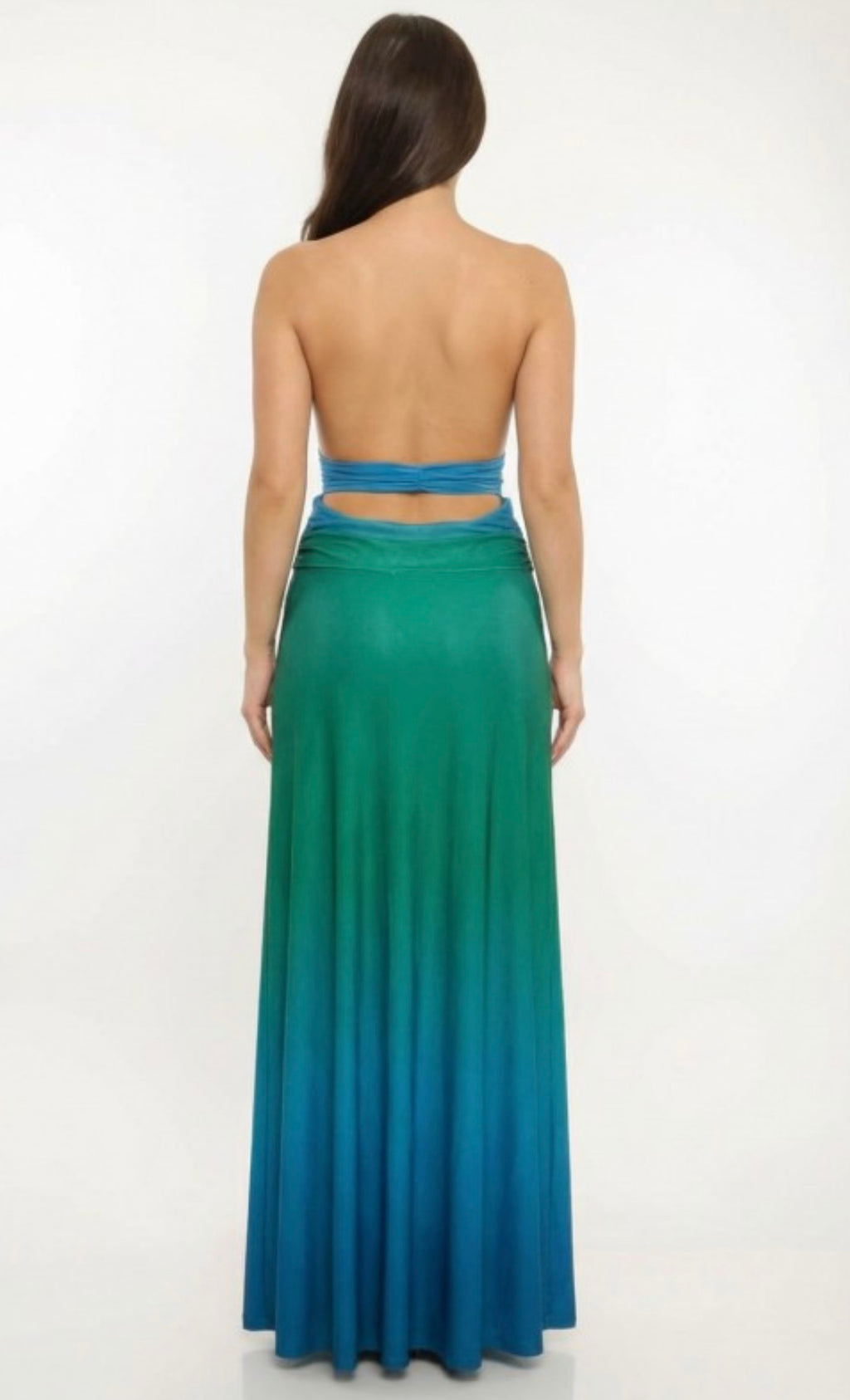 Ombre Mesh Cutout Detailed Maxi Dress